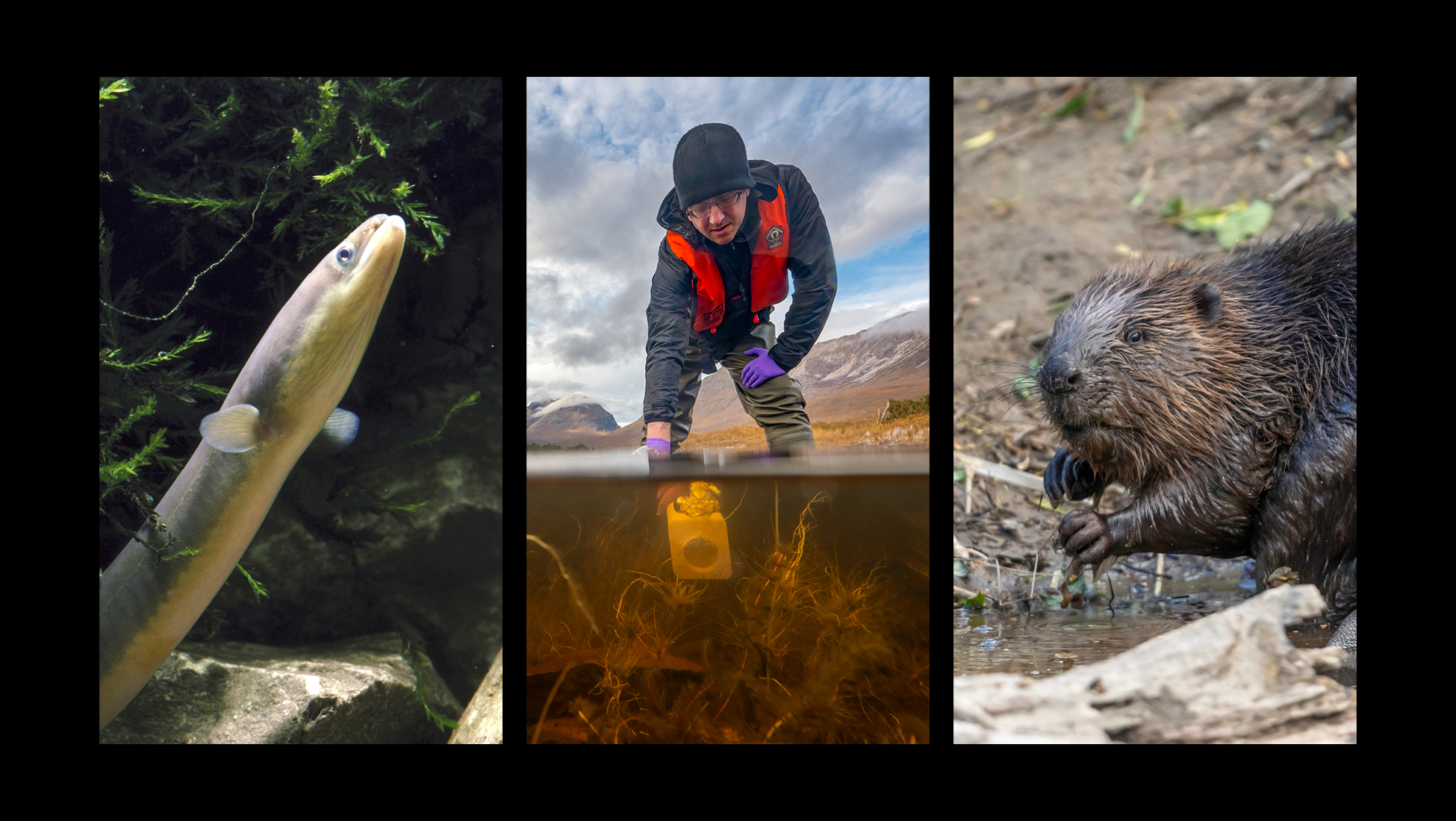 IBFC - Our Science - Monitoring Biodiversity IBFC - Our Science - Monitoring Biodiversity